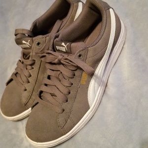 Grey pumas